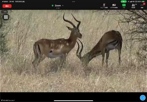 たくさん見られました！