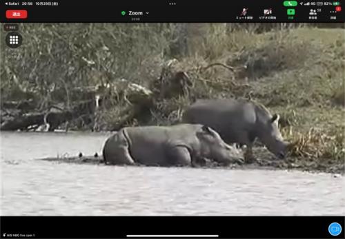 たくさん見られました！