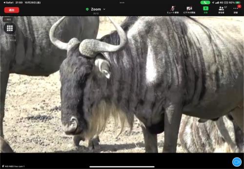 たくさん見られました！