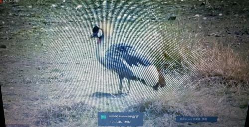 たくさん観られました。 たくさん観られました。