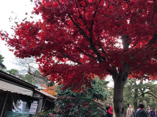 うけてよかった うけてよかった