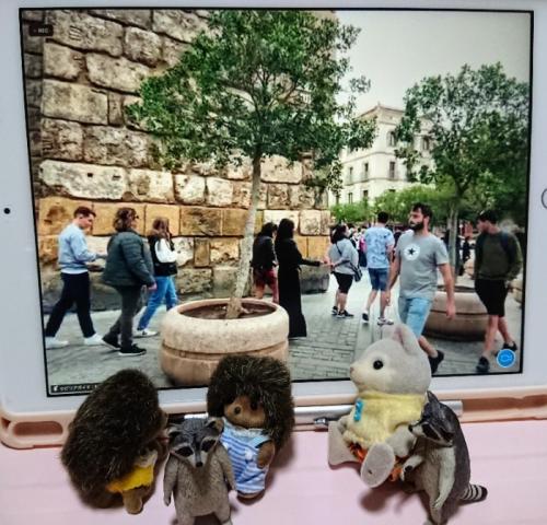 2年ぶりのスペイン 2年ぶりのスペイン