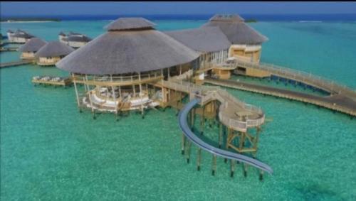 モルディブ最高で～す＼(^o^)／