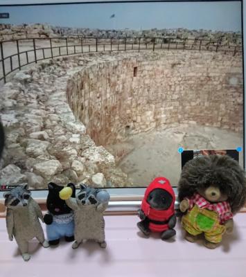 魅惑 そして 未開の地域へ 旅行 魅惑 そして 未開の地域へ 旅行