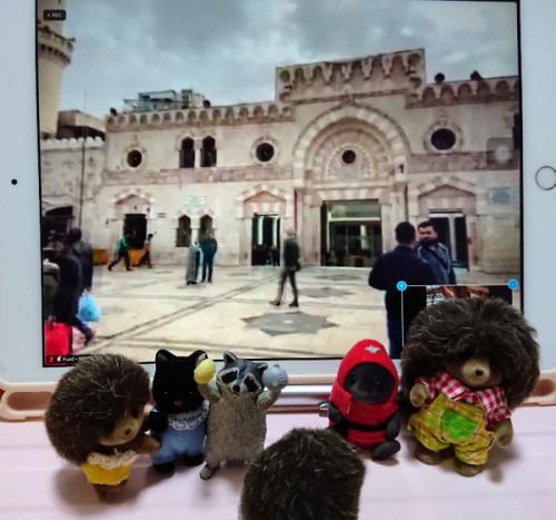 魅惑 そして 未開の地域へ 旅行 魅惑 そして 未開の地域へ 旅行