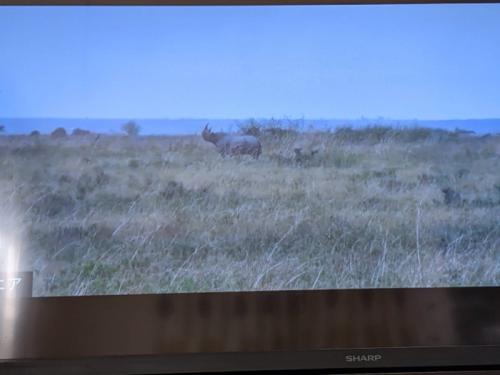 子どもと世界一周の旅 子どもと世界一周の旅