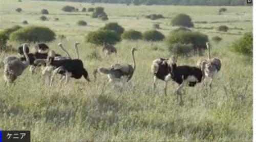 各国のガイドさんが素敵だった 各国のガイドさんが素敵だった