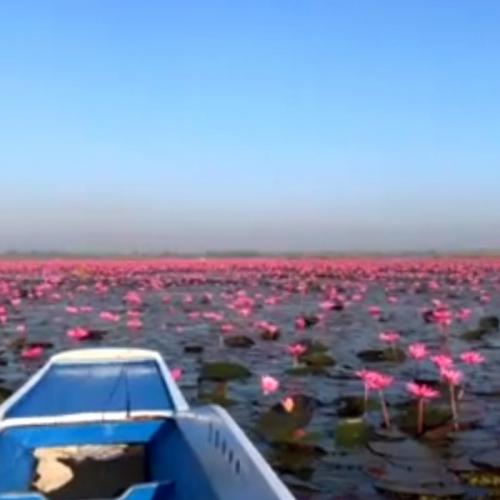 人生初のタイ。素晴らしい景観でした。 人生初のタイ。素晴らしい景観でした。