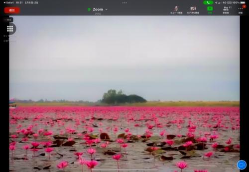 タイにこんな場所があったとは！