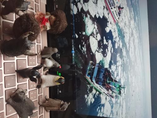 たくさんの流氷に囲まれて たくさんの流氷に囲まれて