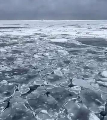 生まれて初めてみた流氷に感動 生まれて初めてみた流氷に感動