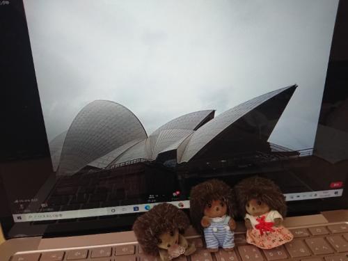 憧れのシドニー 憧れのシドニー