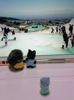 世界遺産パムッカレライブツアー