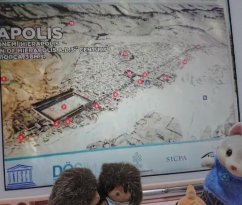 世界遺産パムッカレライブツアー