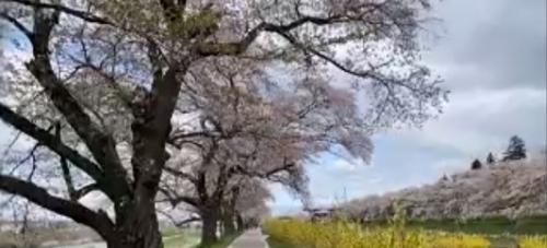 ナイスフォロー