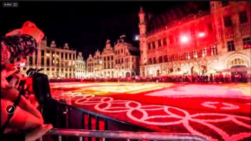 チューリップたくさん見れました。 チューリップたくさん見れました。