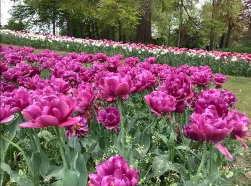 春到来! 春到来!