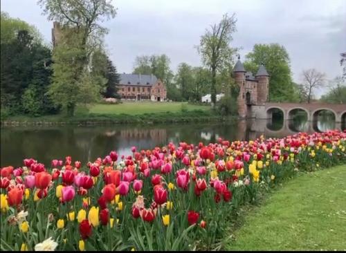 春到来! 春到来!