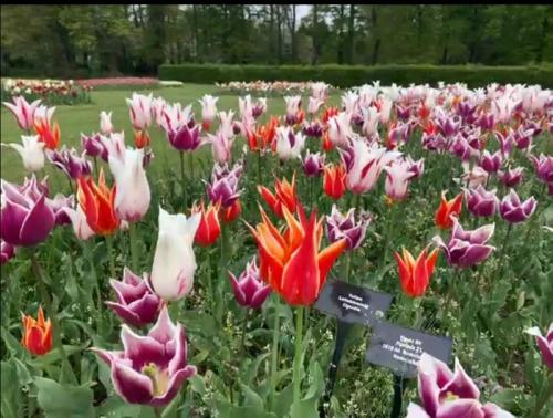 春到来! 春到来!