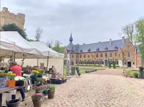 お花だけではない文化も感じられるツアー