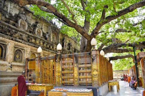 仏教の4つの聖地