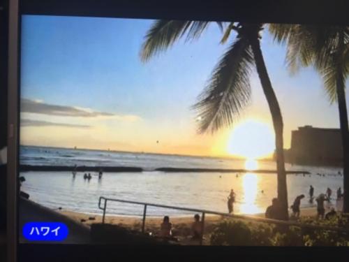 とても楽しめました とても楽しめました