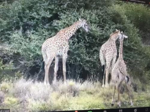 とても楽しめました とても楽しめました