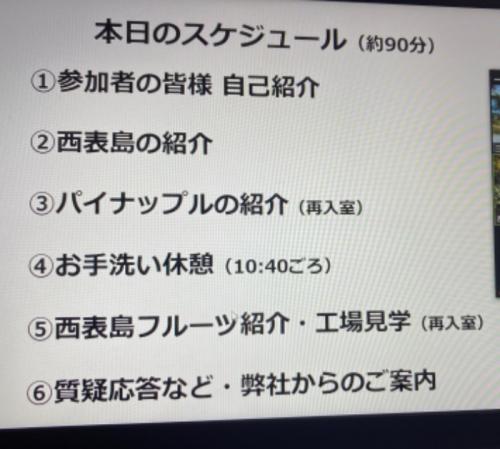パイナップルの秘密発見の旅 パイナップルの秘密発見の旅