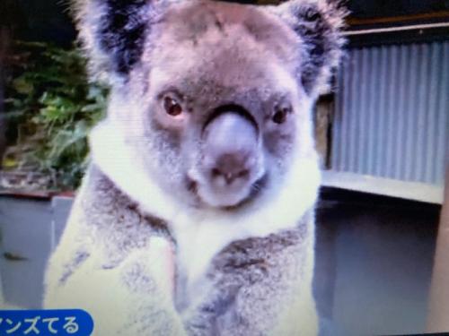 気軽に参加できます 気軽に参加できます