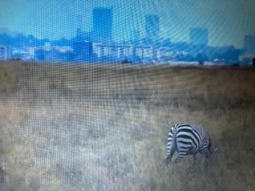 気軽に参加できます 気軽に参加できます