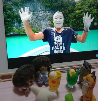 海が綺麗なパラオ 海が綺麗なパラオ