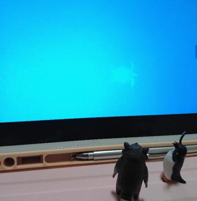 海が綺麗なパラオ 海が綺麗なパラオ