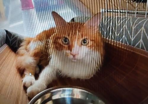 とてもとても楽しかったです とてもとても楽しかったです