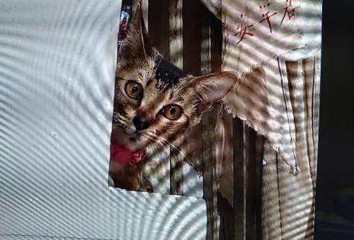 とてもとても楽しかったです とてもとても楽しかったです