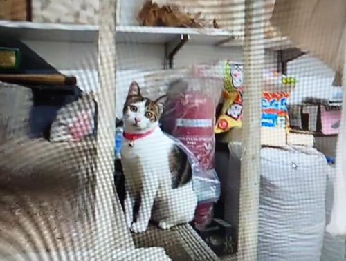 とてもとても楽しかったです とてもとても楽しかったです