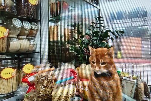 とてもとても楽しかったです とてもとても楽しかったです