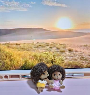 夕陽が綺麗でした 夕陽が綺麗でした