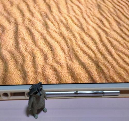 夕陽が綺麗でした 夕陽が綺麗でした