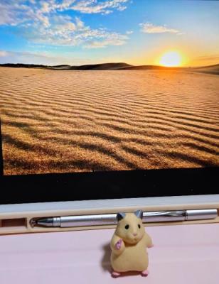 夕陽が綺麗でした 夕陽が綺麗でした