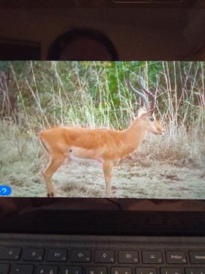 親子で楽しめました