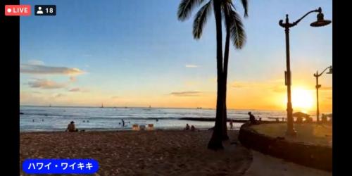 動物が楽しかったです! 動物が楽しかったです!