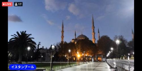 動物が楽しかったです! 動物が楽しかったです!