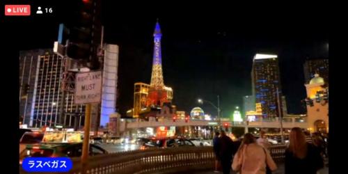 動物が楽しかったです! 動物が楽しかったです!