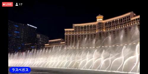 動物が楽しかったです! 動物が楽しかったです!