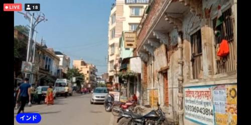 動物が楽しかったです! 動物が楽しかったです!