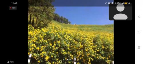 素敵な花々の散歩