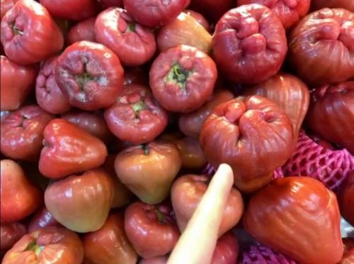 久しぶりの南門市場＼(^o^)／