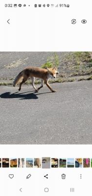 デカクてジューシーなあれがナント( ̄□ ̄;)!! デカクてジューシーなあれがナント( ̄□ ̄;)!!