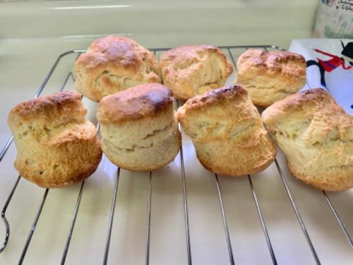 アーカイブのお蔭でイメトレから実践できました