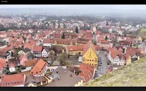 猫の日企画で猫ちゃんに会えた♪